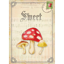 MP-58685 Forest Friends Cards Set