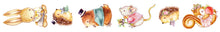 MP-60015 Forest Friends Washi Tape Characters 25mm x 10m